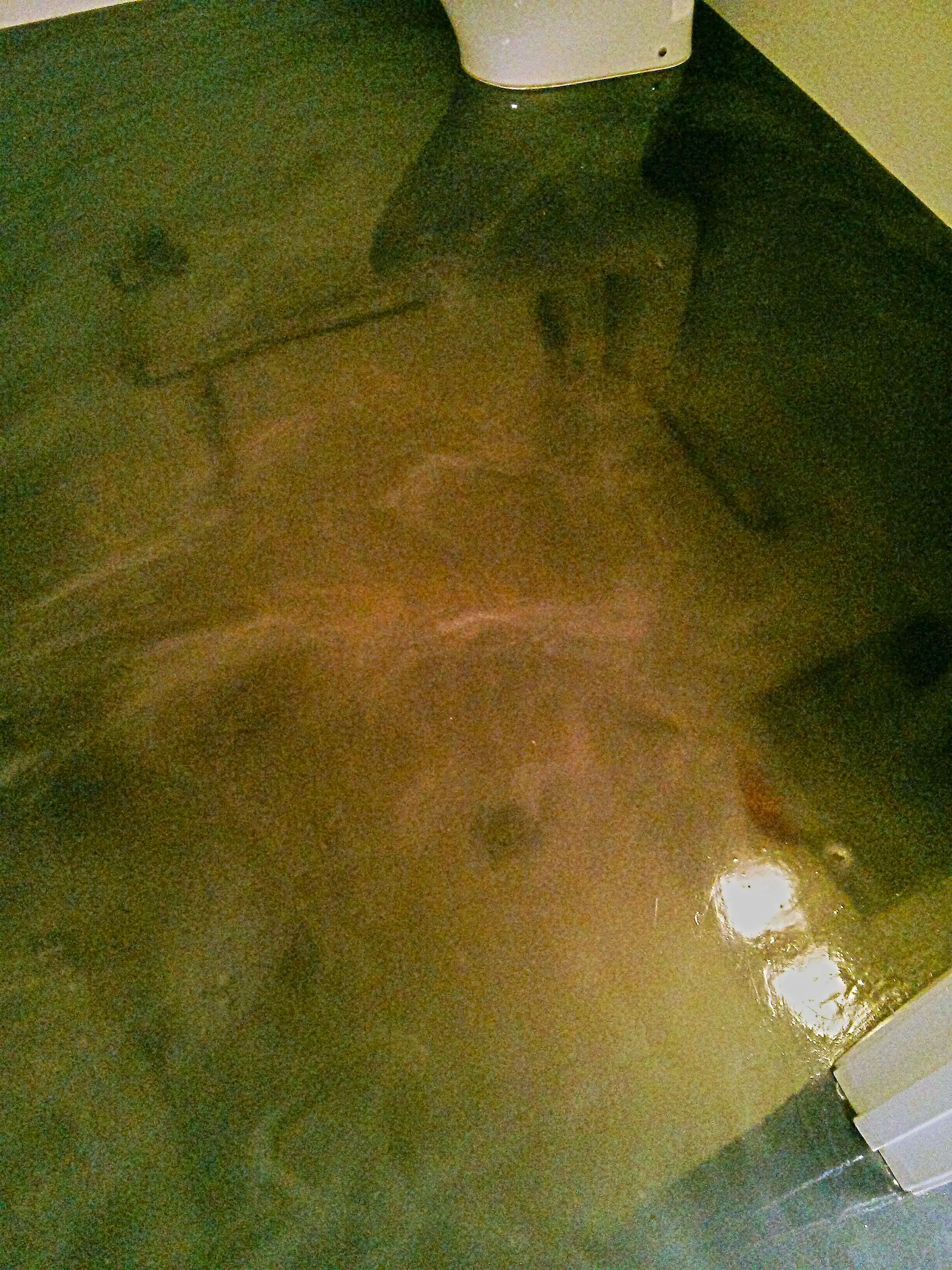 polished-concrete-floor-gets-much-needed-scrub-and-recoat-in-wayzata