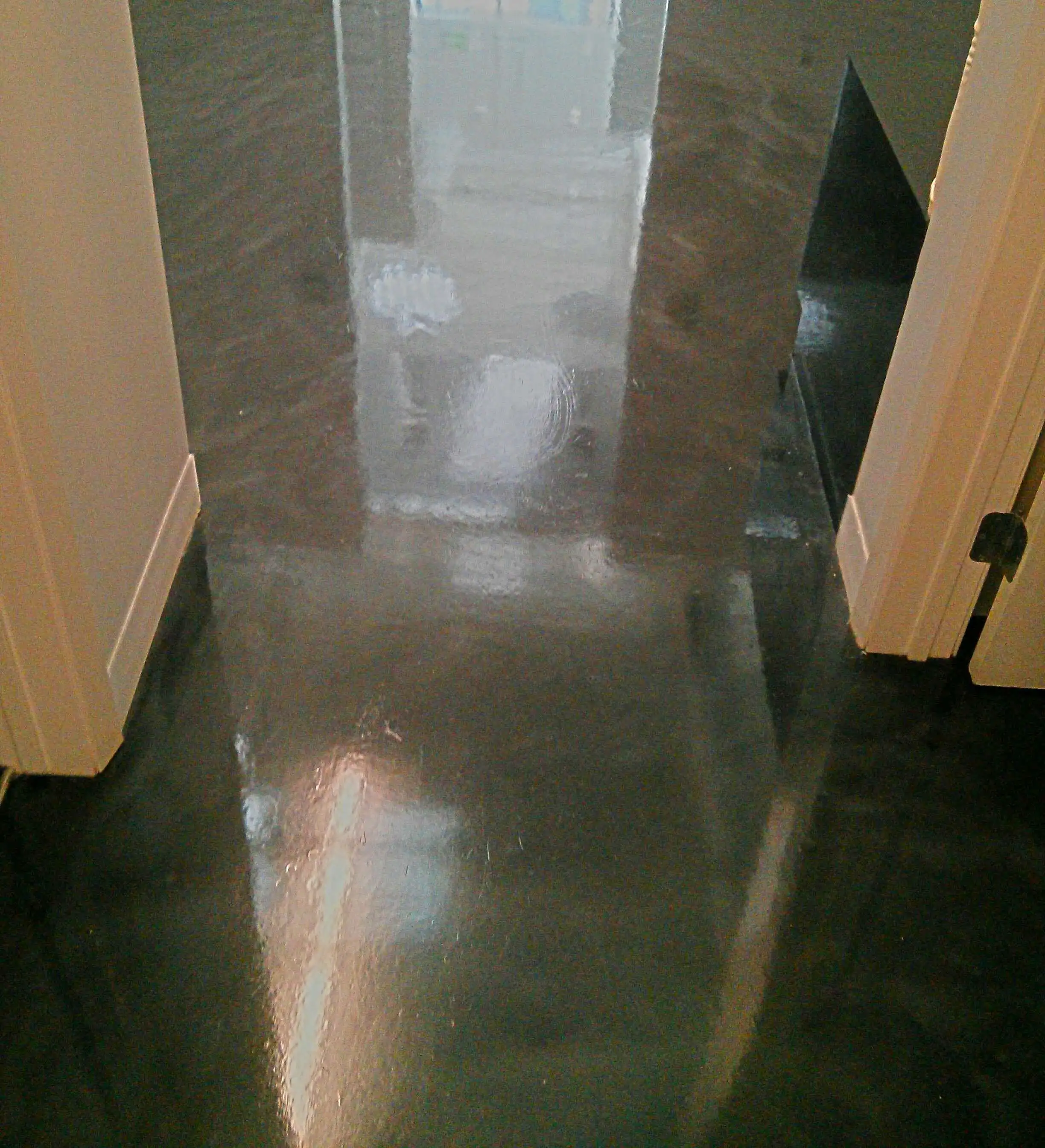 polished-concrete-floor-gets-much-needed-scrub-and-recoat-in-wayzata