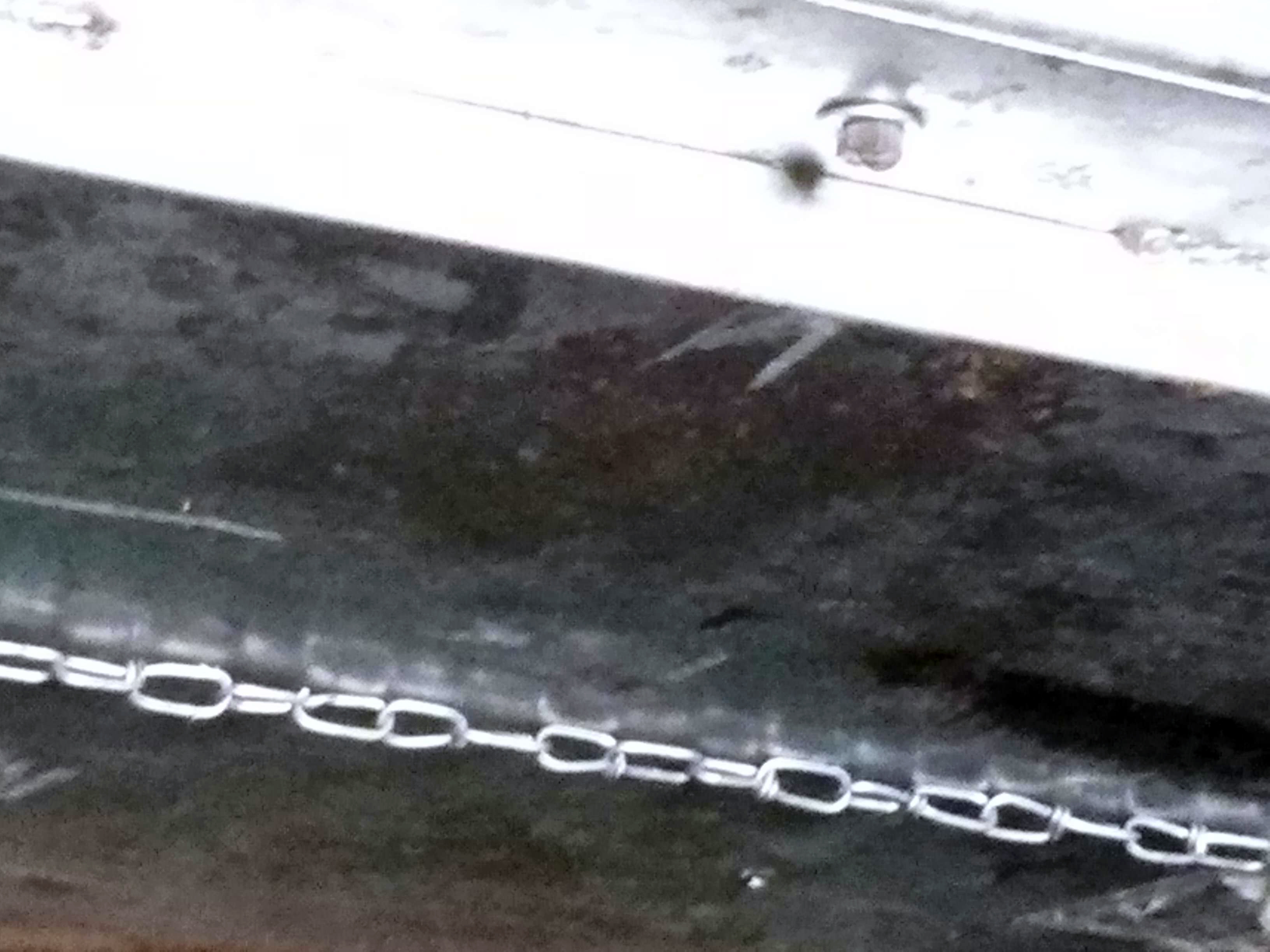 Beautiful 6-Story Building in Uptown Minneapolis image 1