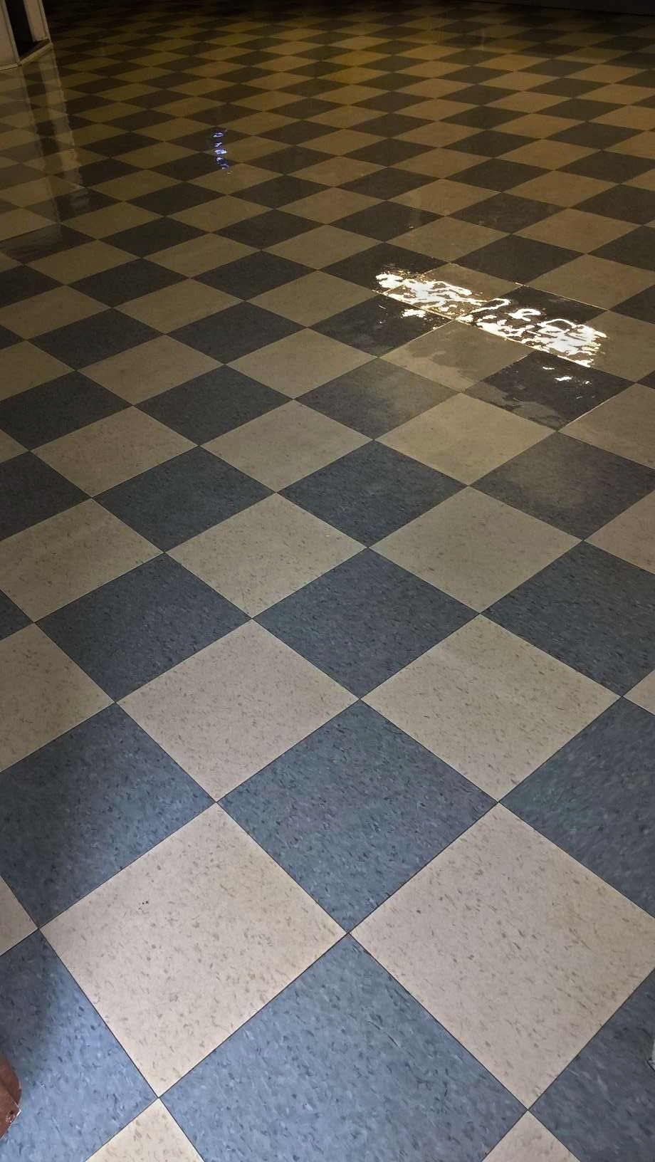 Old VCT Floor Restoration Job in Crystal MN image 7