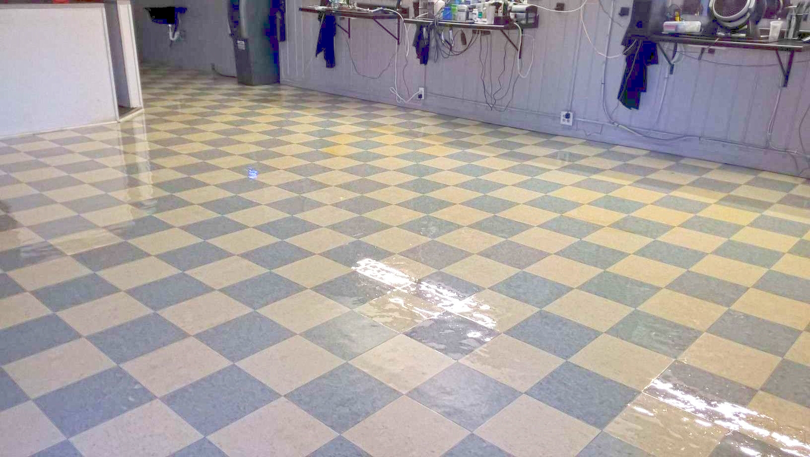 Old VCT Floor Restoration Job in Crystal MN image 10