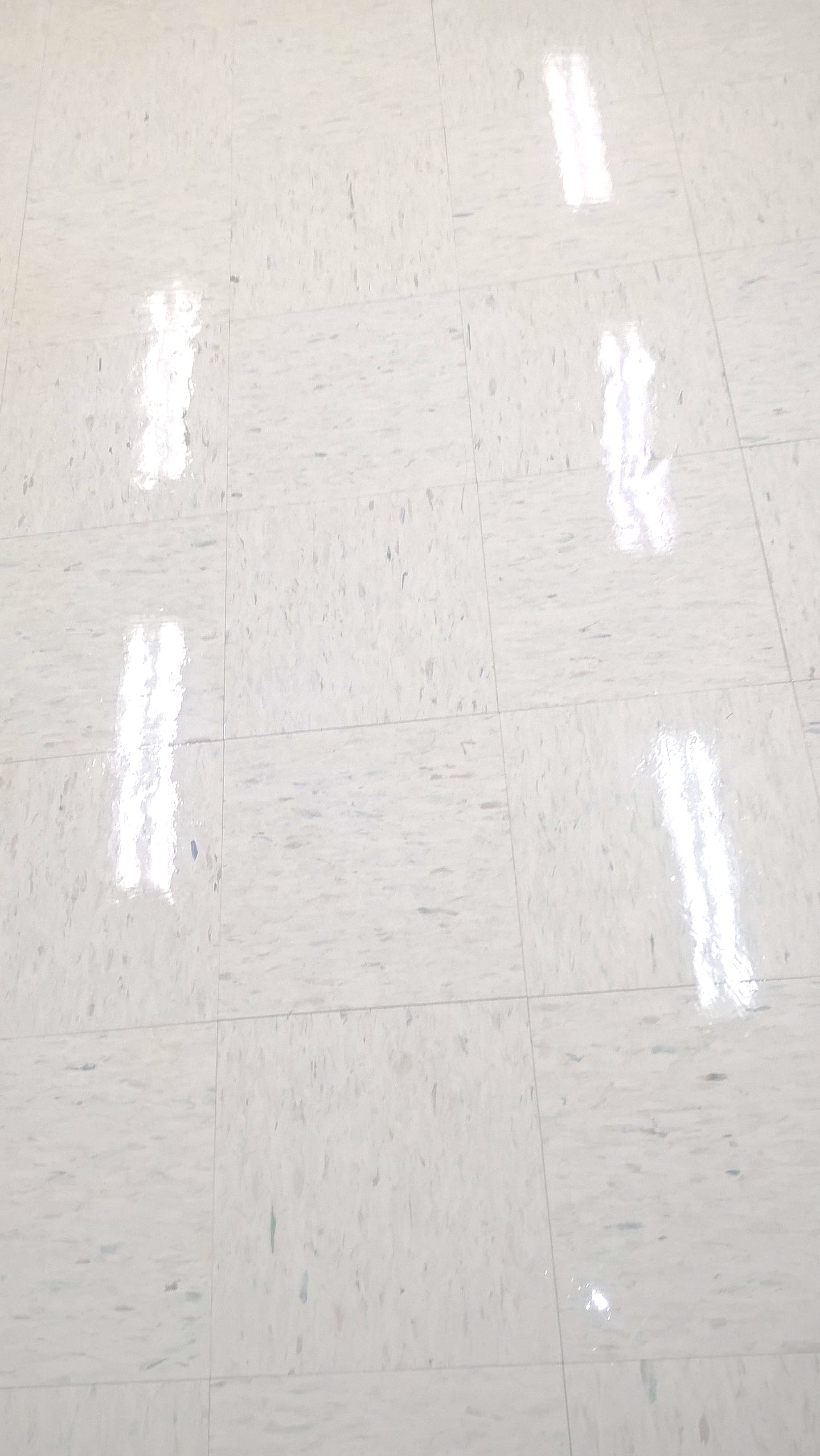 Old VCT Floor Restoration Job in Edina, MN image 2