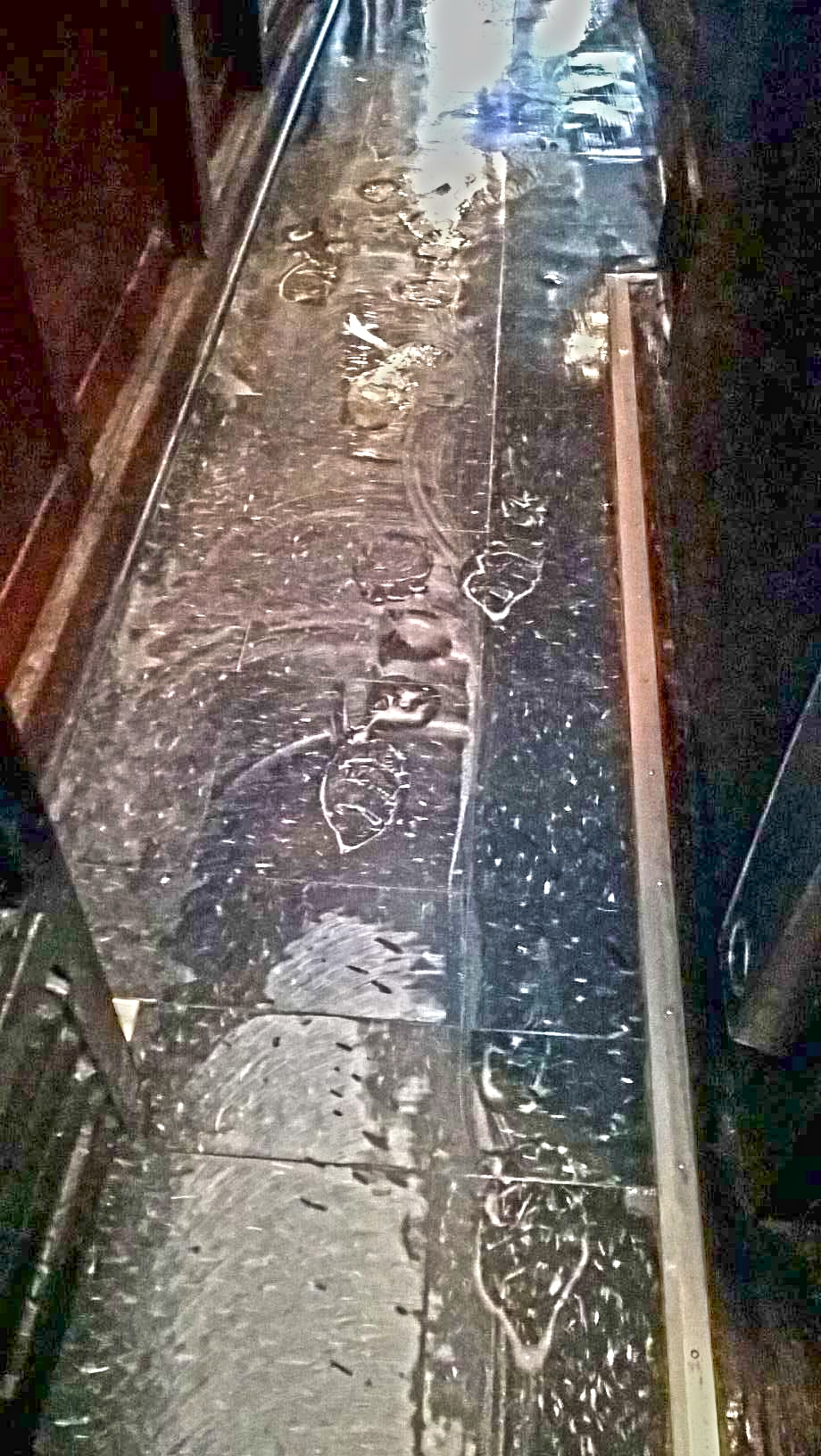 Old VCT Floor Restoration Job in St Michael MN image 10