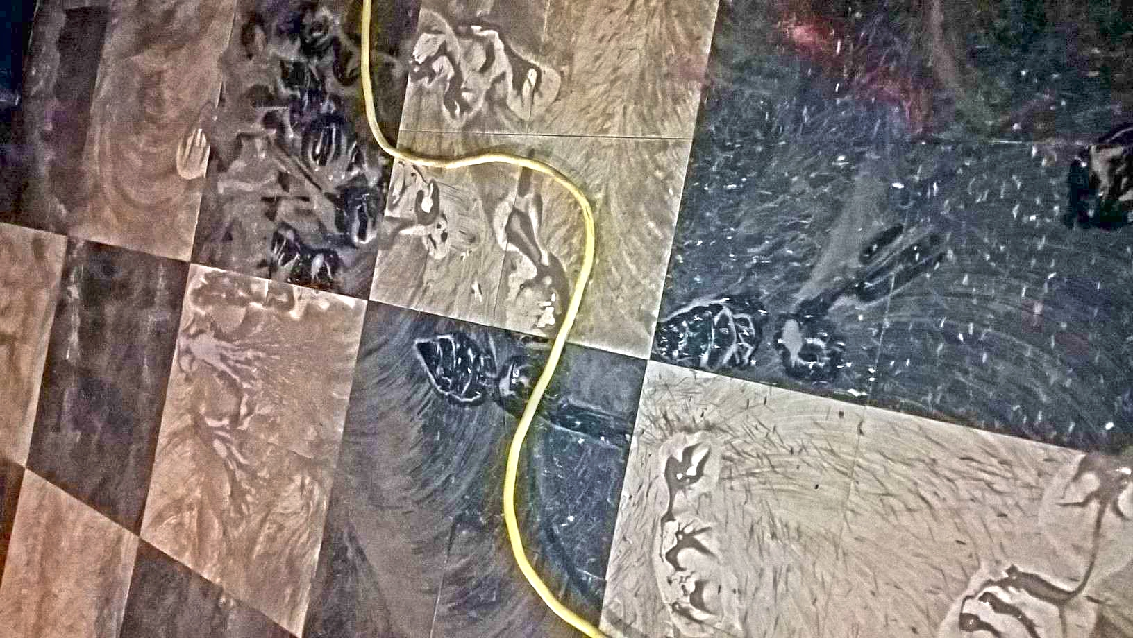 Old VCT Floor Restoration Job in St Michael MN image 13