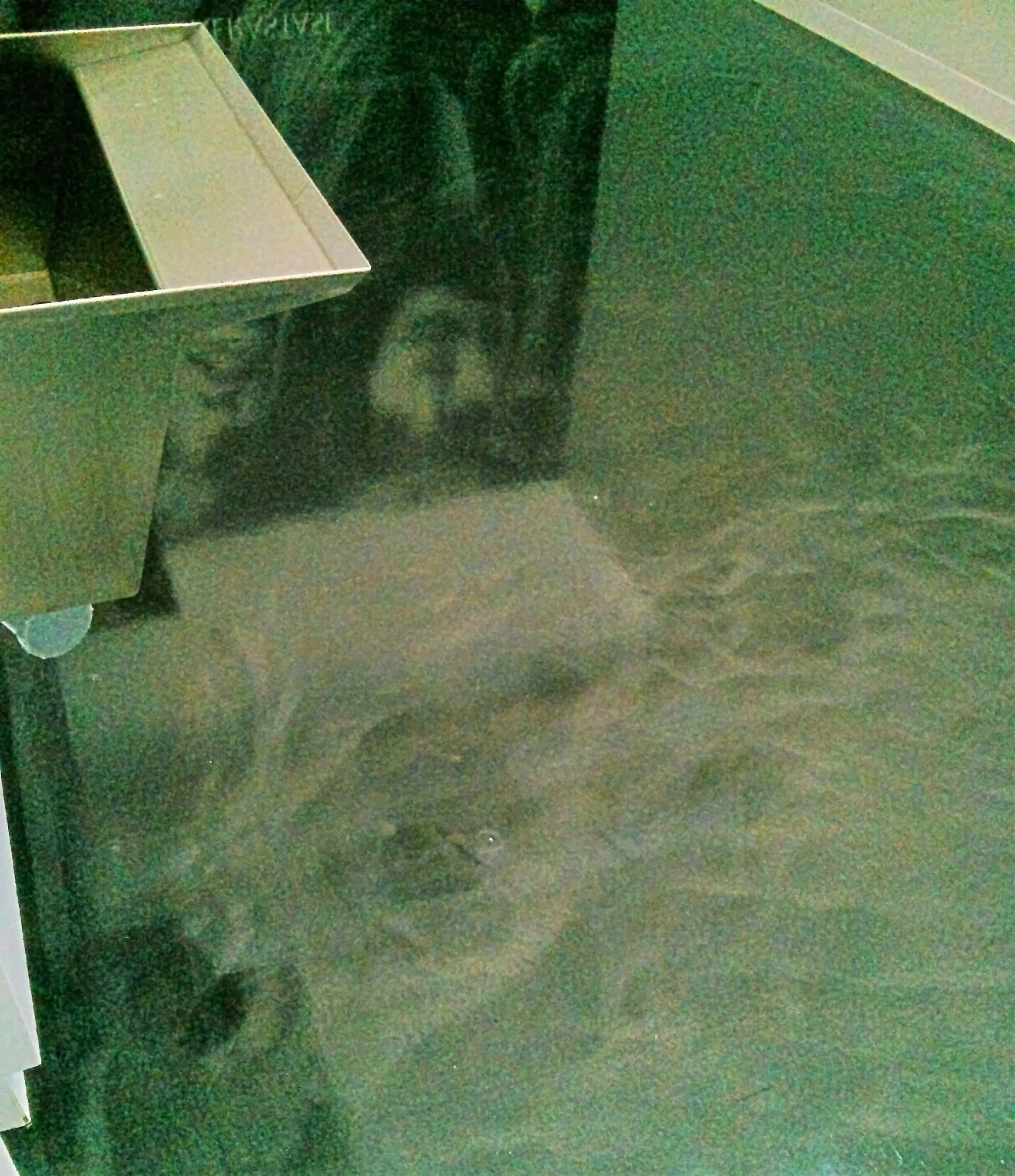 Polished Concrete Floor Gets Much Needed Scrub and ReCoat in Wayzata image 10