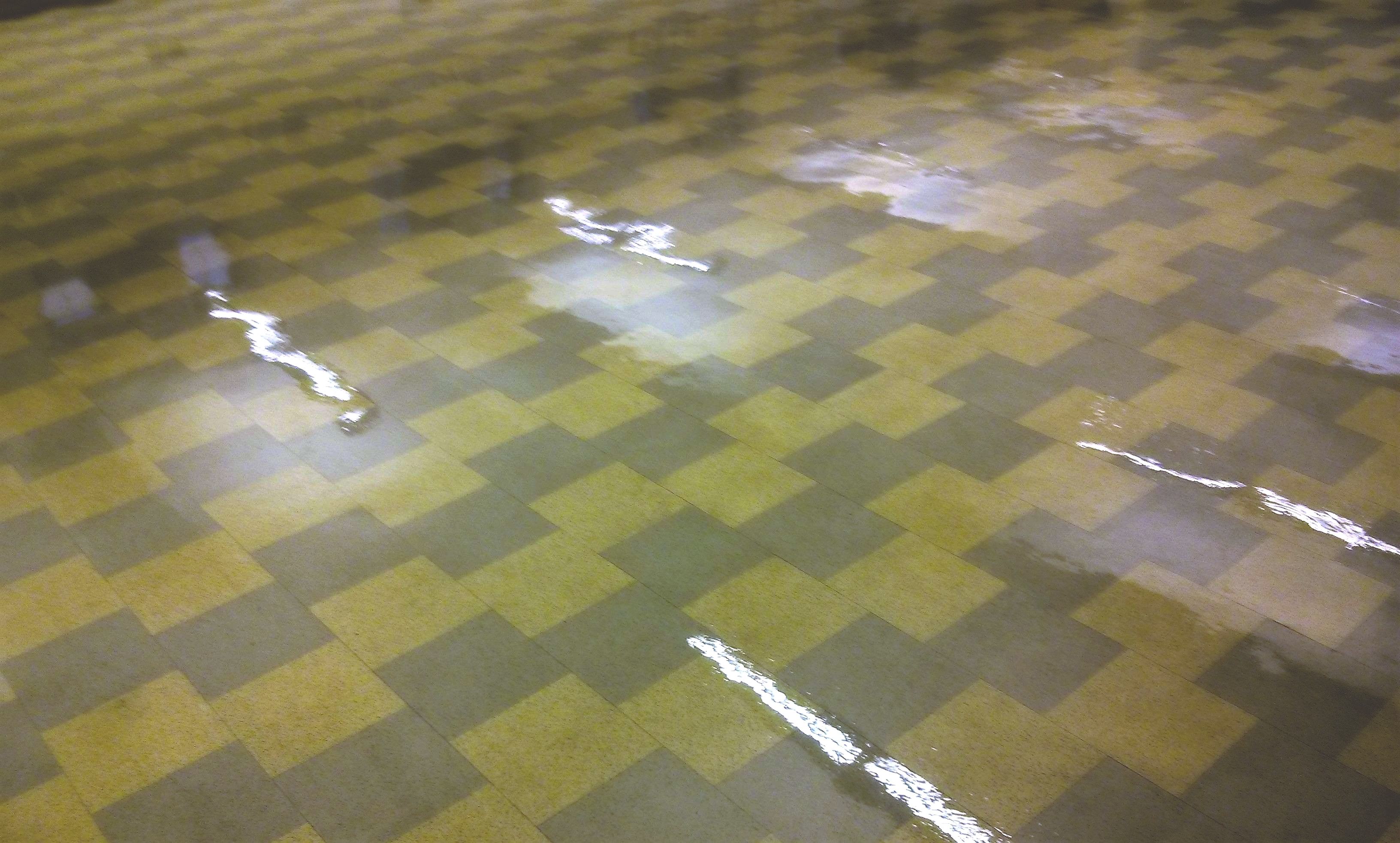 Restoration of Old VCT Floor in Minneapolis Church image 1