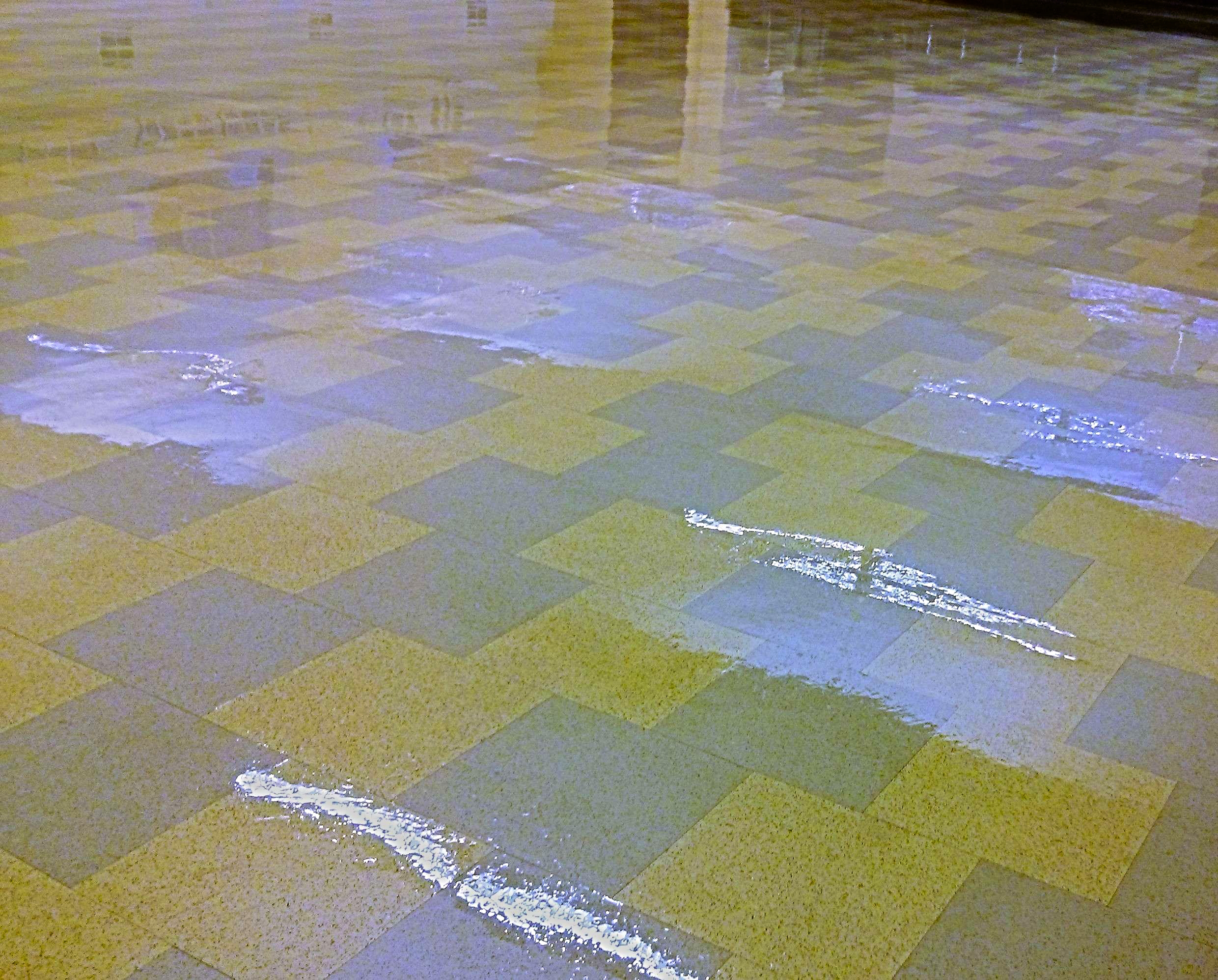 Restoration of Old VCT Floor in Minneapolis Church image 6