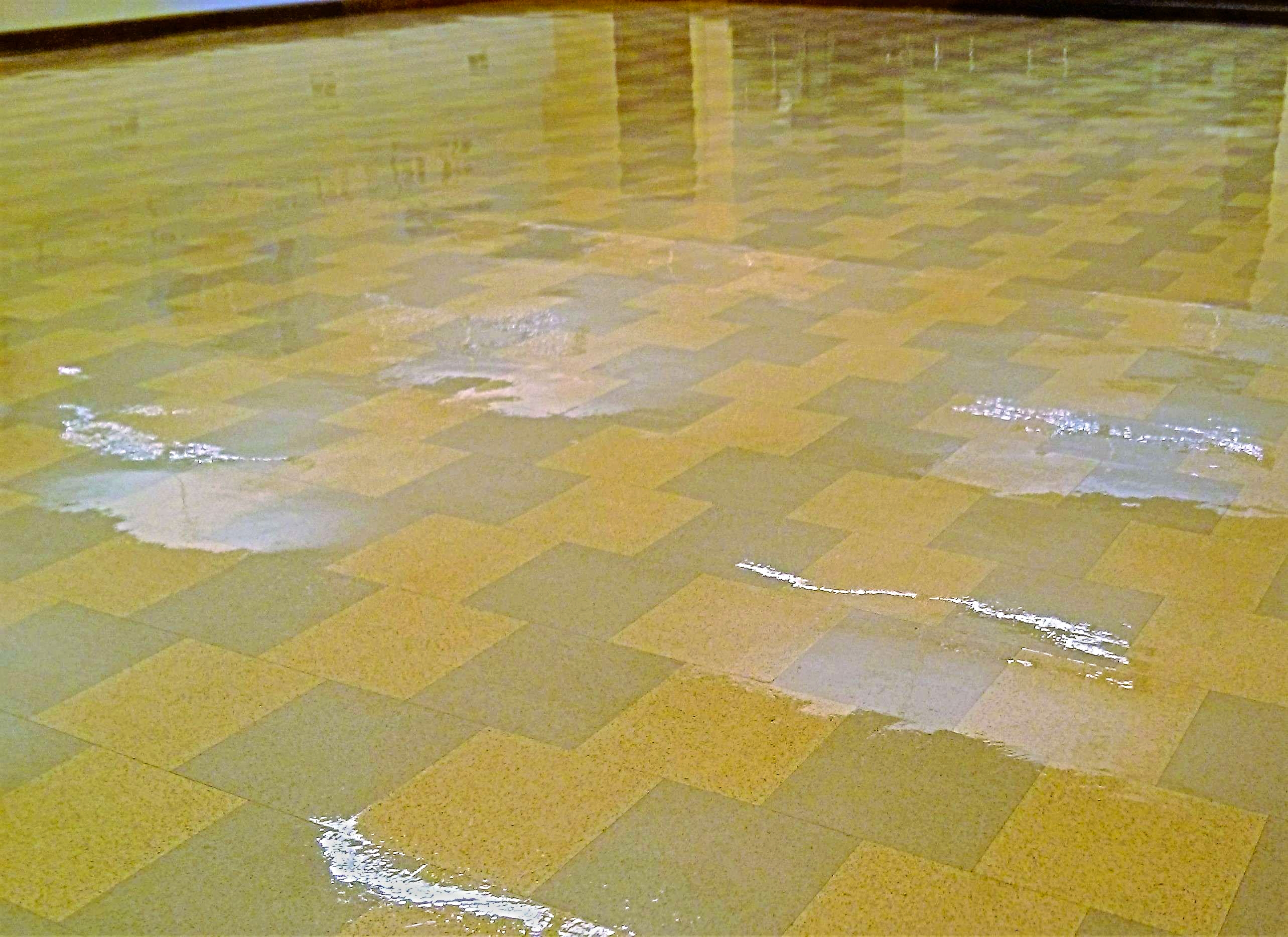 Restoration of Old VCT Floor in Minneapolis Church image 7