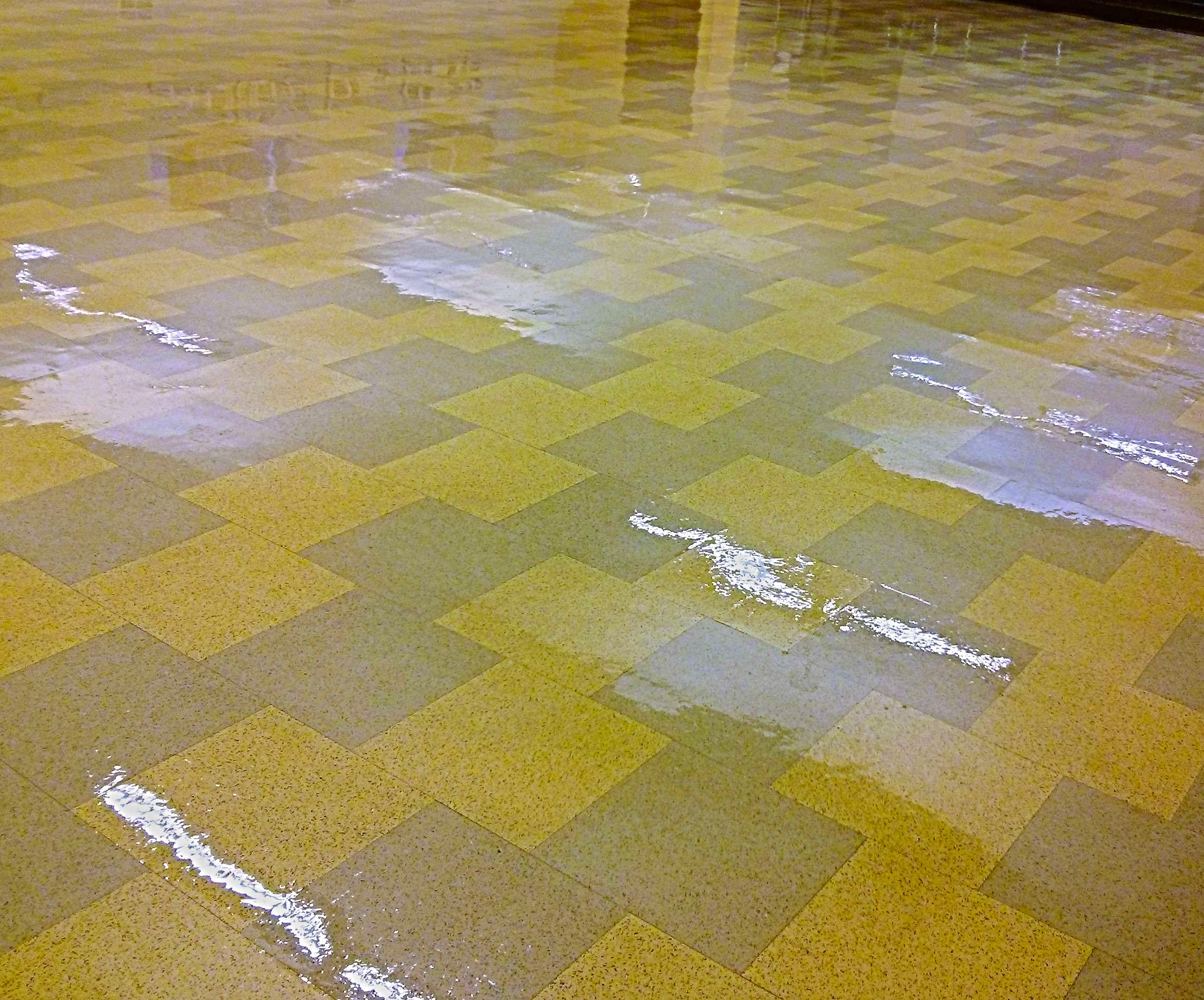 Restoration of Old VCT Floor in Minneapolis Church image 8