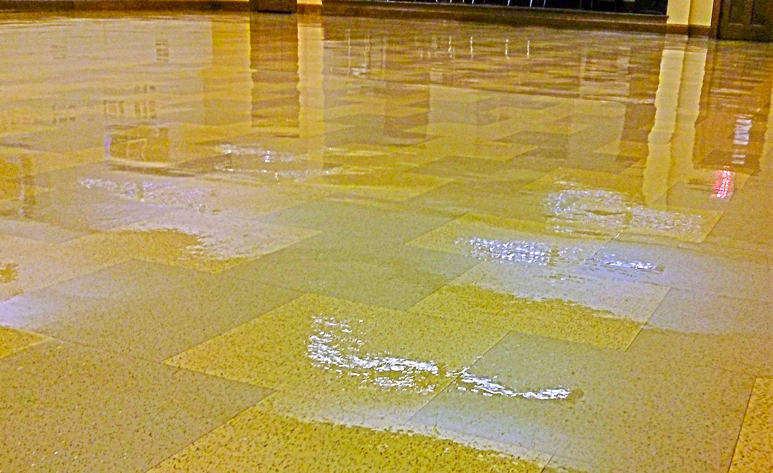 Restoration of Old VCT Floor in Minneapolis Church image 12