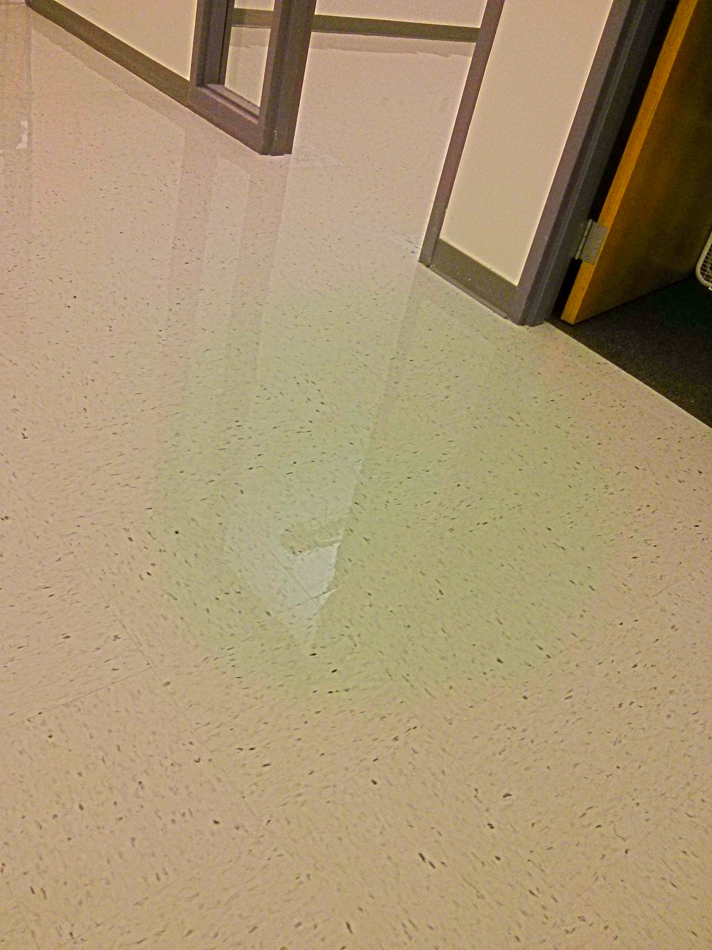 VCT Floor Coatings Services in Minneapolis Medical Manufacturing Facility image 5