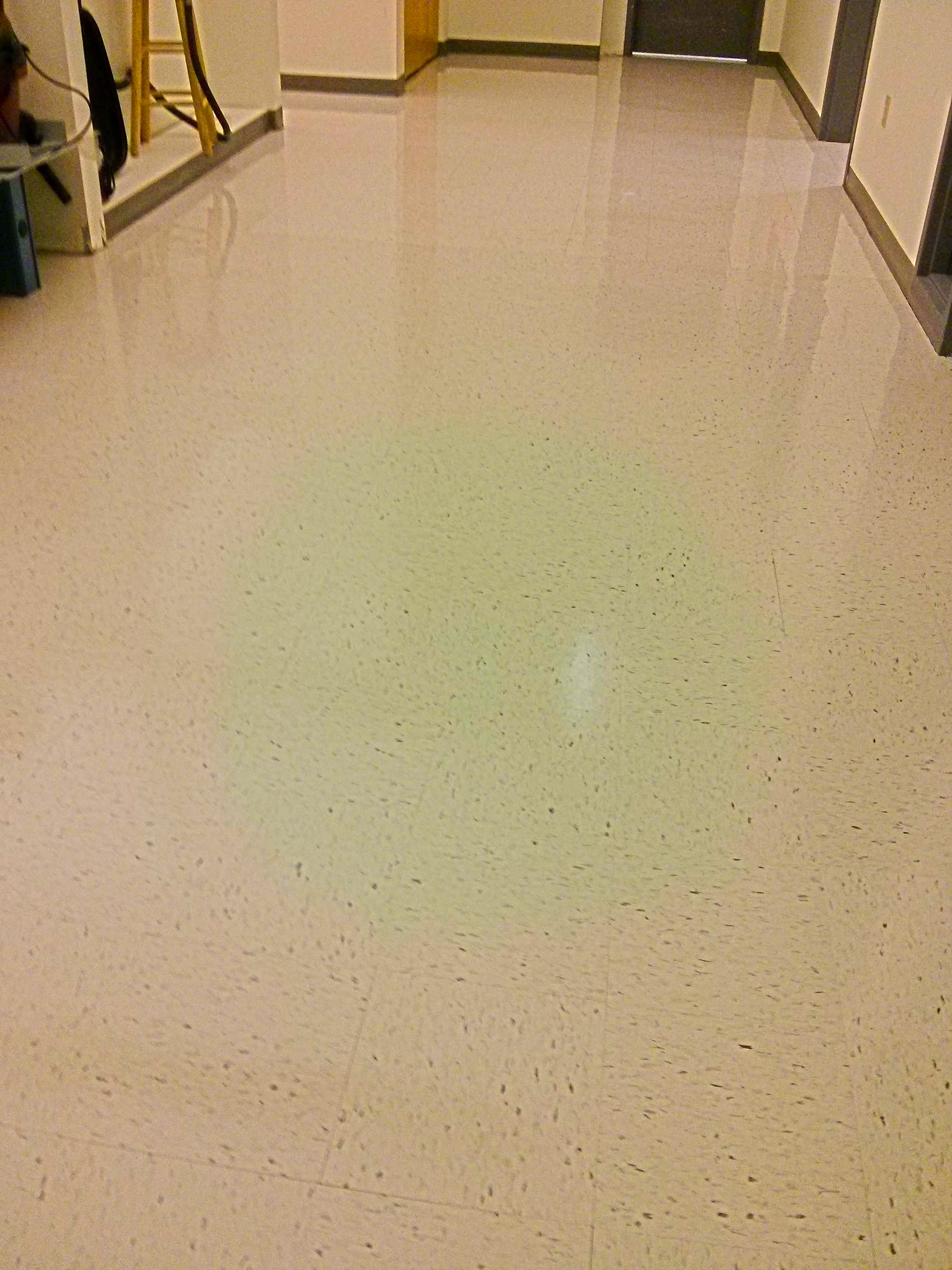 VCT Floor Coatings Services in Minneapolis Medical Manufacturing Facility image 8