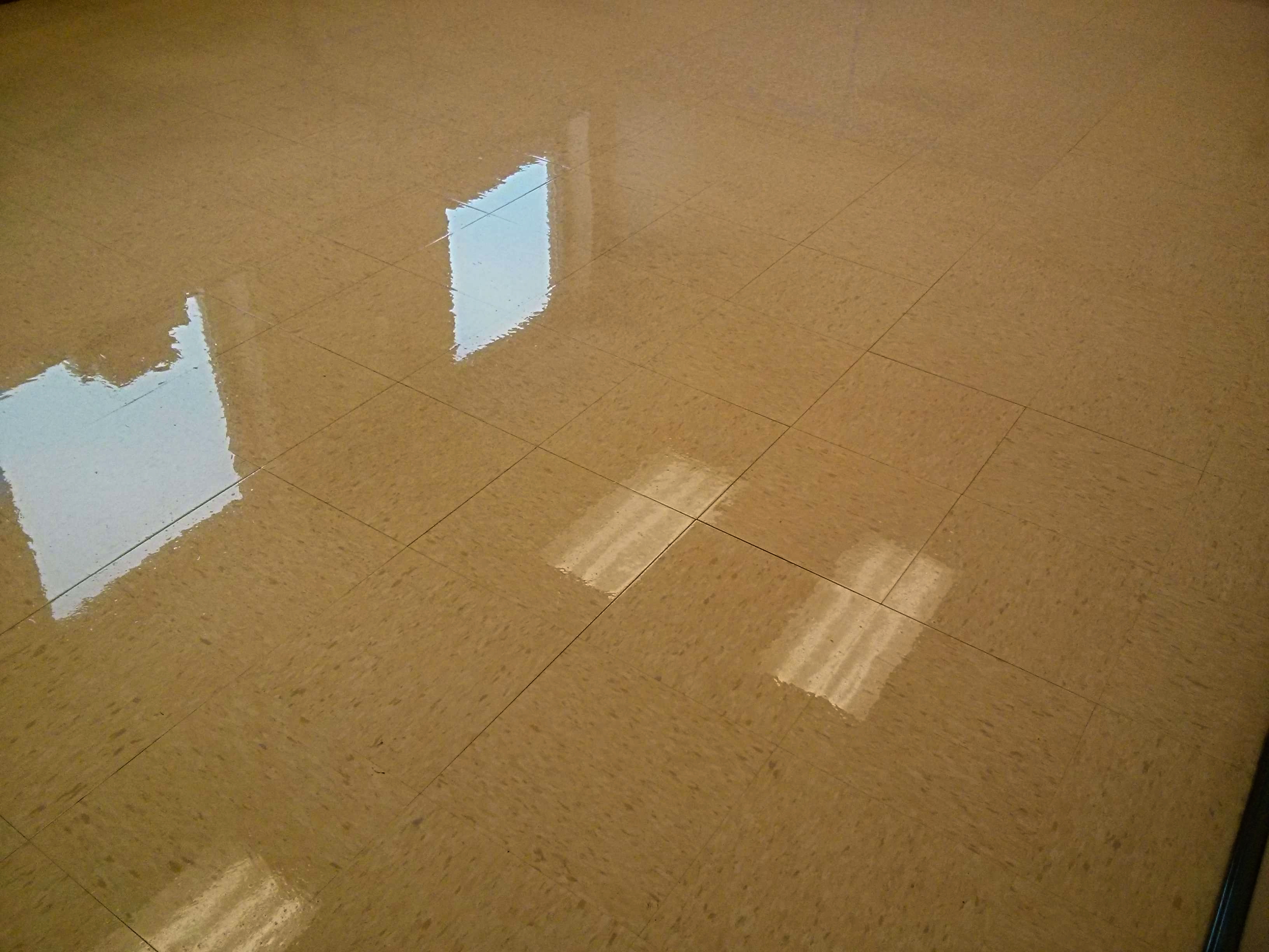 VCT Floor with Locked-Up Stripper Solution in Glencoe, MN image 1