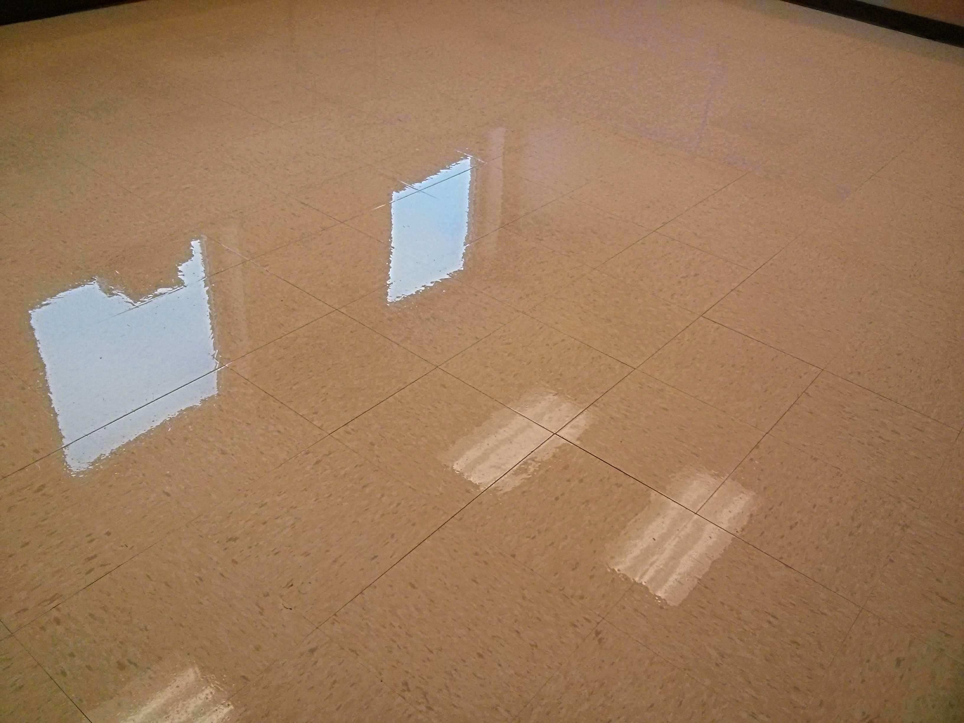 VCT Floor with Locked-Up Stripper Solution in Glencoe, MN image 2