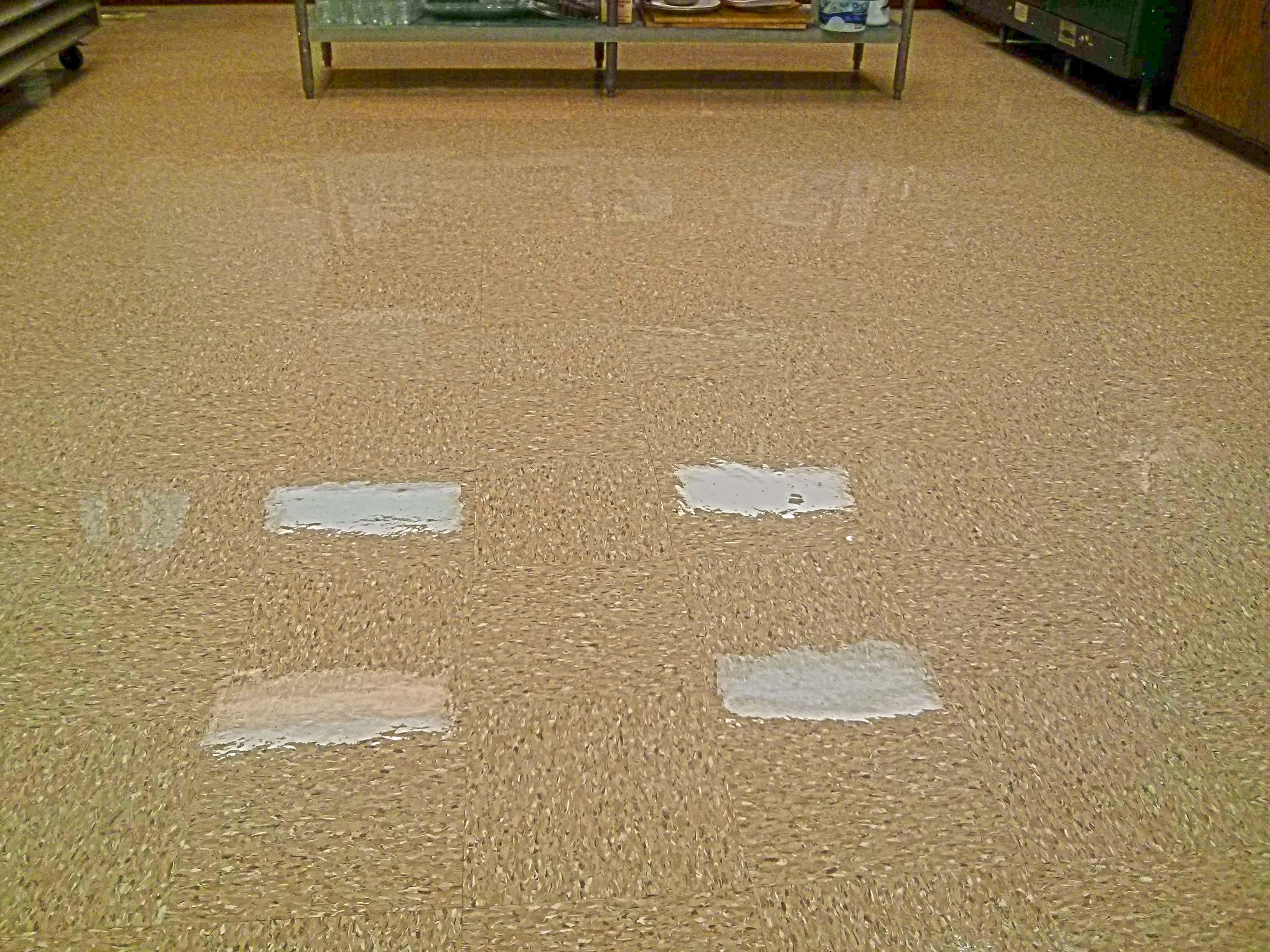 VCT Floors Clear Coating Job in Rural Hennepin County image 2