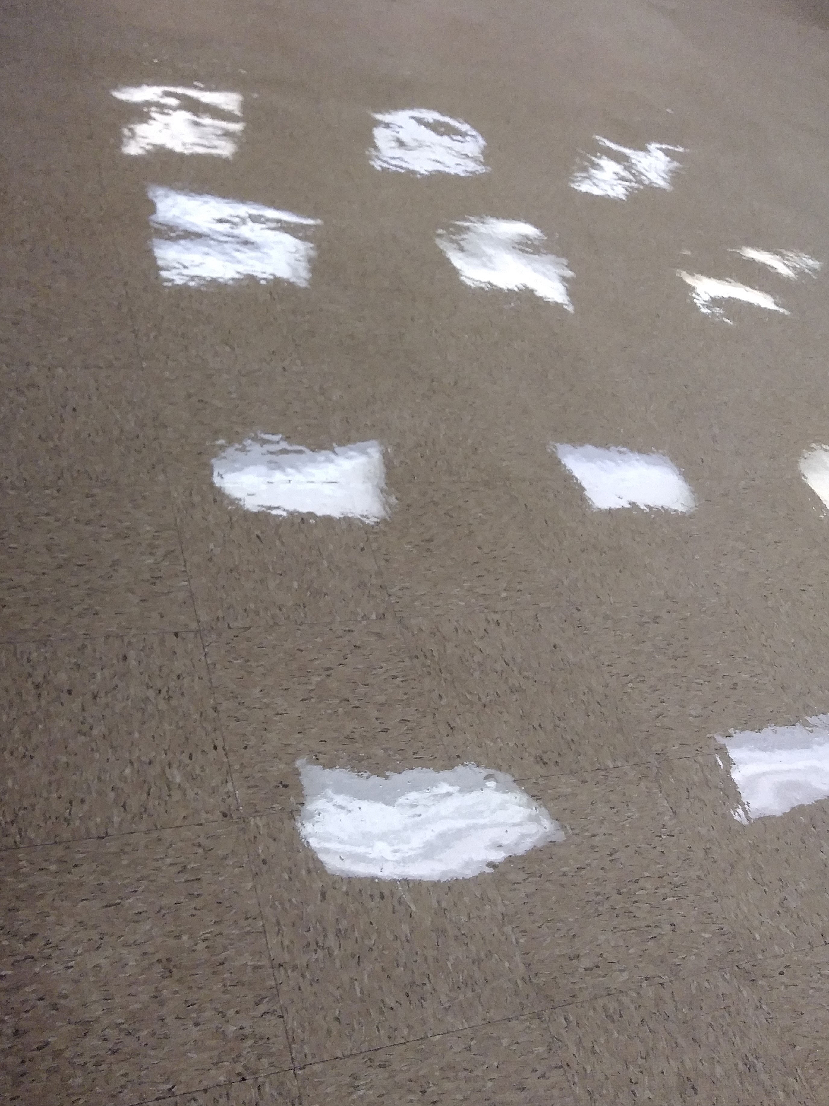 VCT Floors Clear Coating Job in Rural Hennepin County image 11