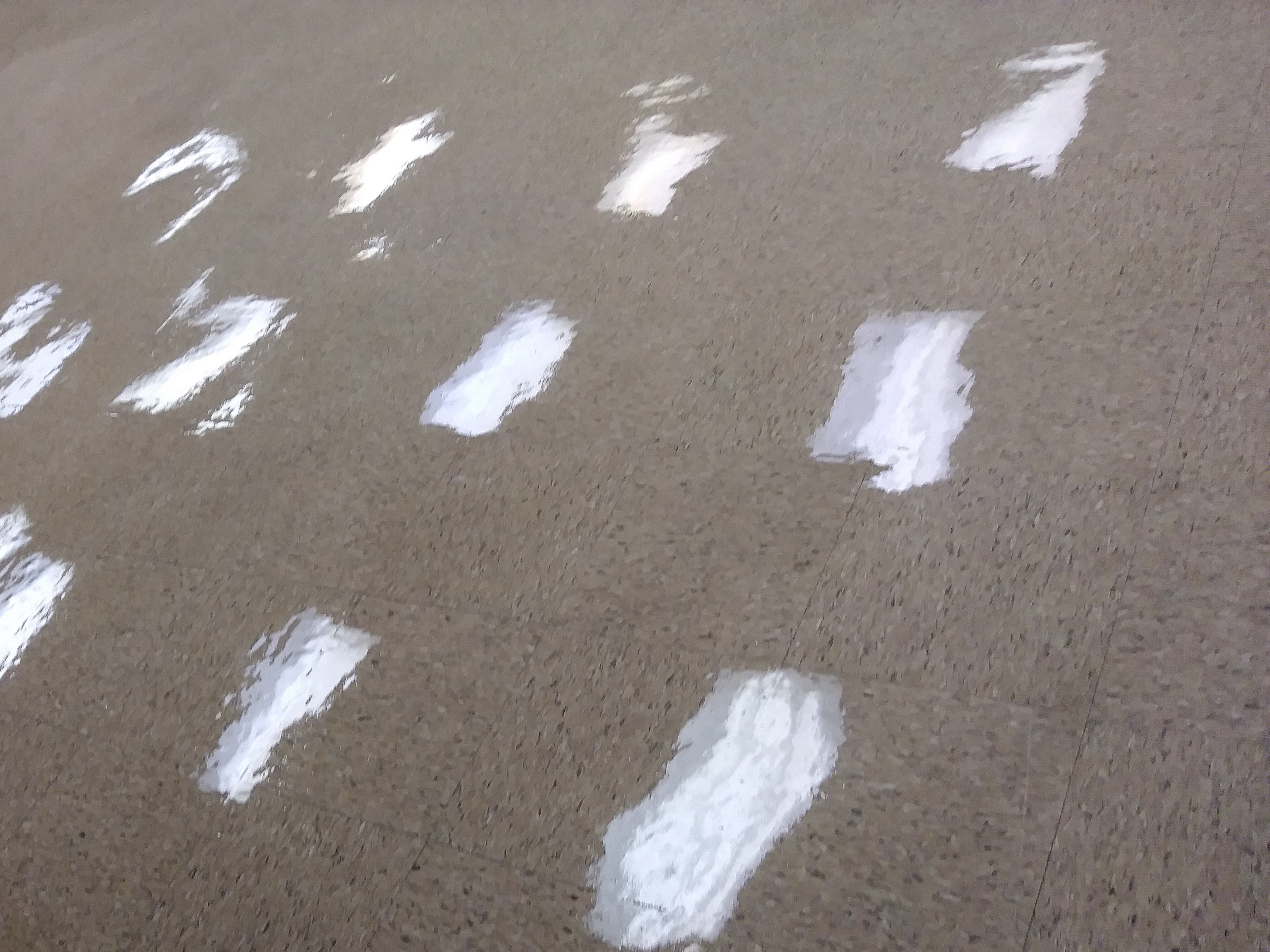 VCT Floors Clear Coating Job in Rural Hennepin County image 13