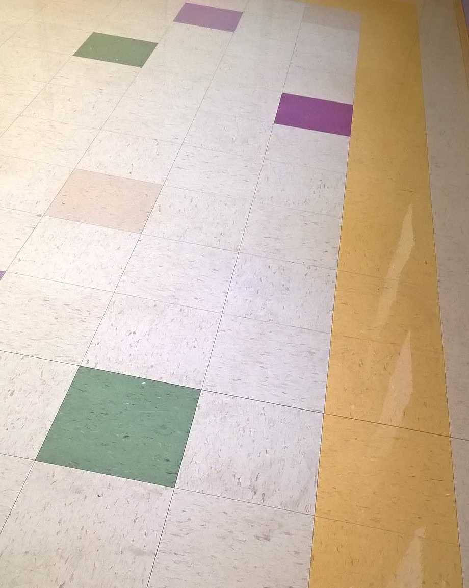 VCT Scrub and Re-Coating Services in St Paul image 2