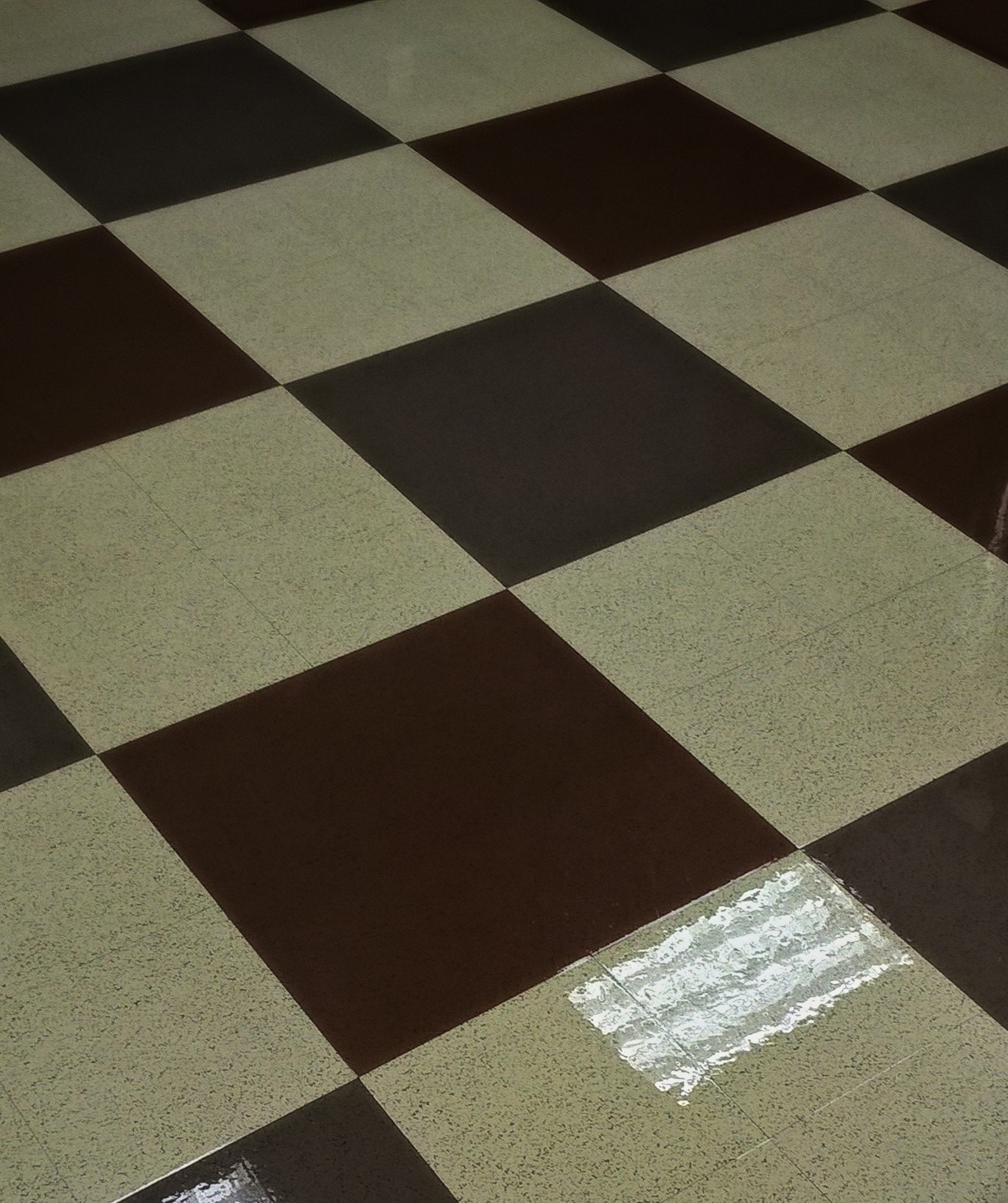 Vinyl Floor Scrub and ReCoat Service in Chanhassen MN image 1