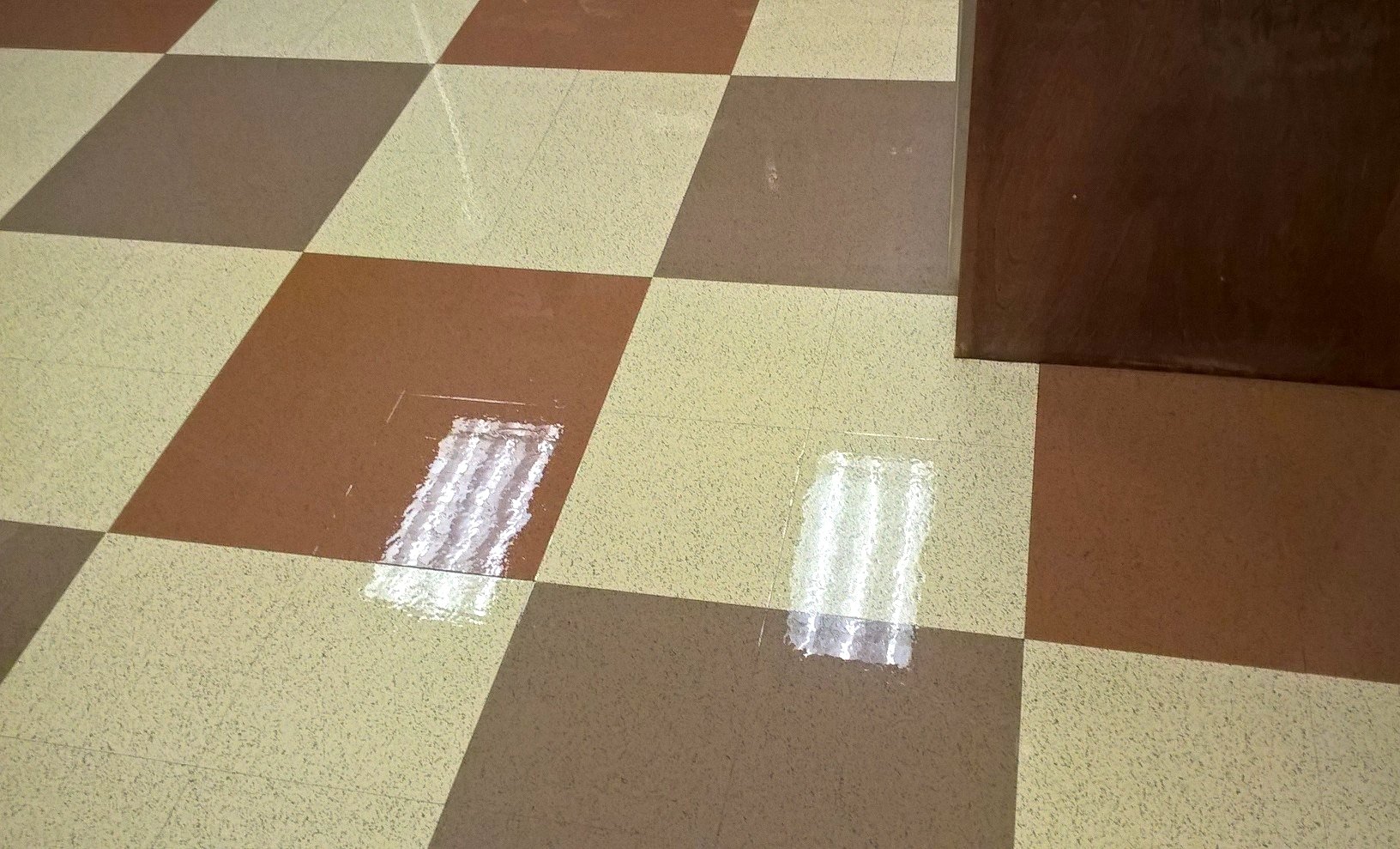 Vinyl Floor Scrub and ReCoat Service in Chanhassen MN image 2