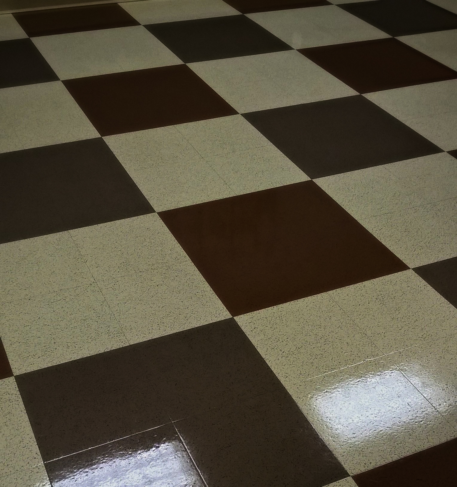 Vinyl Floor Scrub and ReCoat Service in Chanhassen MN image 4