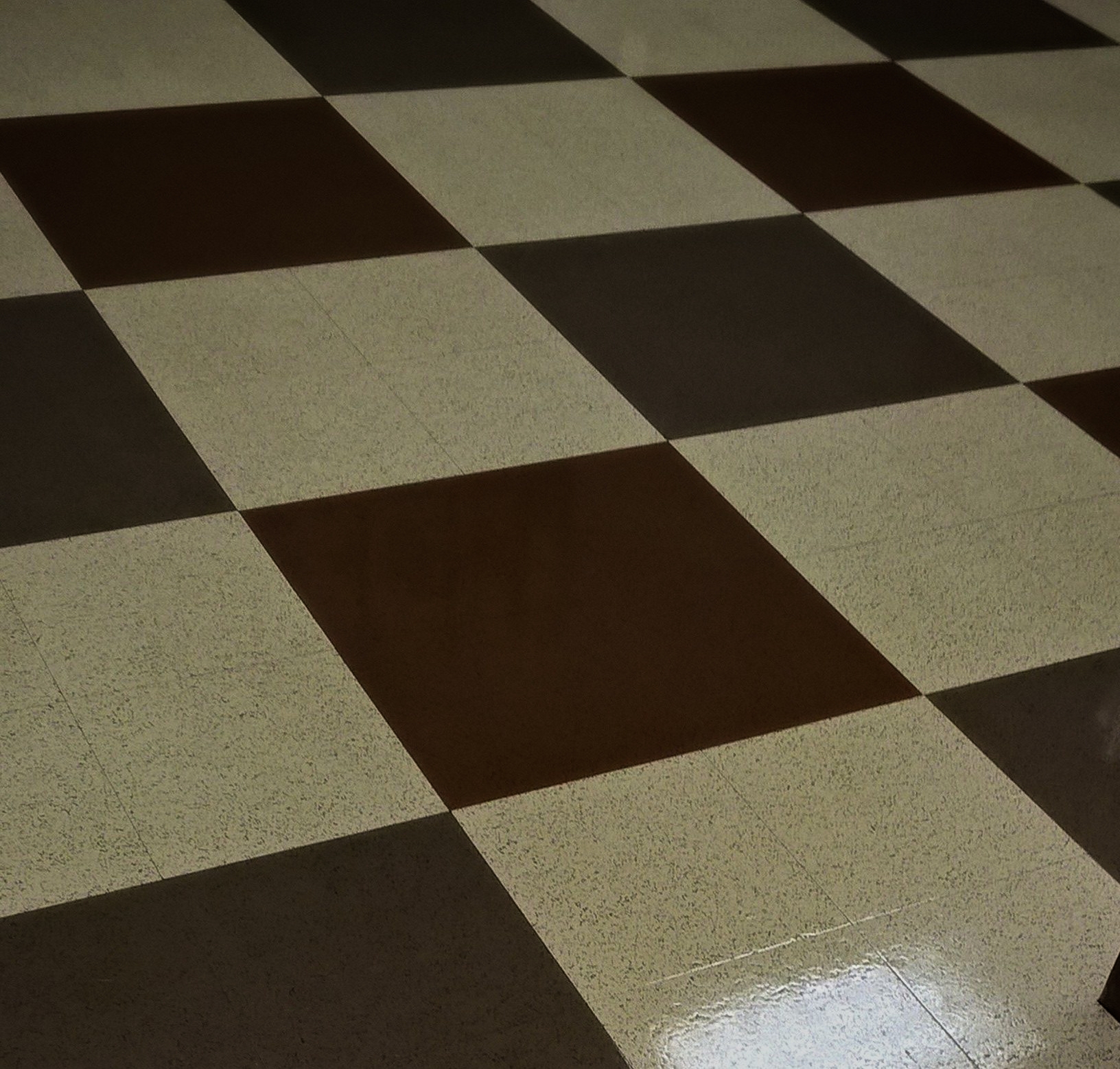 Vinyl Floor Scrub and ReCoat Service in Chanhassen MN image 5